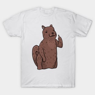 Grumpy Squirrel Holding Middle finger funny gift T-Shirt